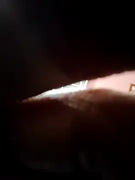 doggy69-dog online show from 5, 4, 2026