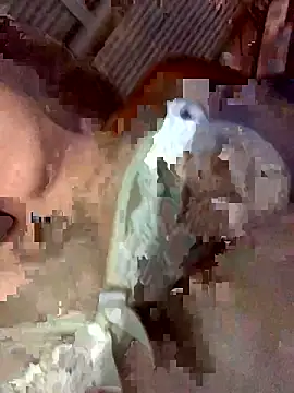 Latinshott online show from 6, 4, 2026