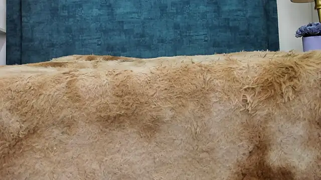 Snapshot of IsadoraVex chatting on 14, 4, 2026 IsadoraVex online show from 14, 4, 2026