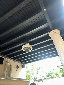 youngwildfreee online show from 9, 4, 2026