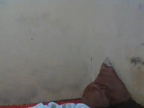 Snapshot of Rerpuss1 chatting on 12, 4, 2026 Rerpuss1 online show from 12, 4, 2026