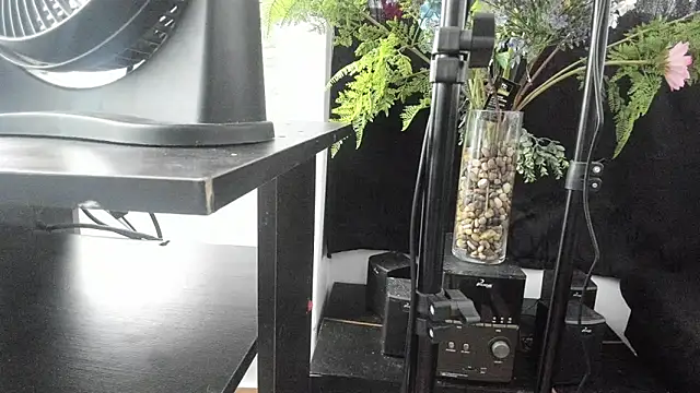 sweet  ero online show from 27, 4, 2026