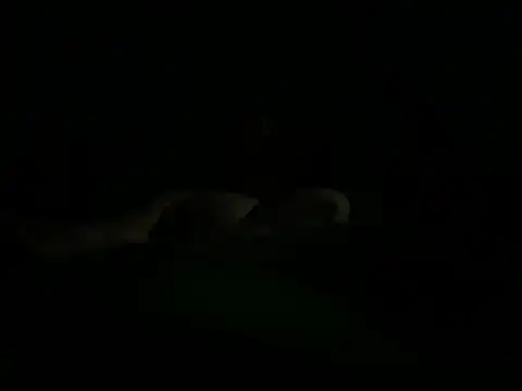 hunglikemeee online show from 16, 4, 2026