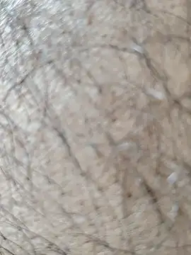 Virat75559 online show from 21, 4, 2026