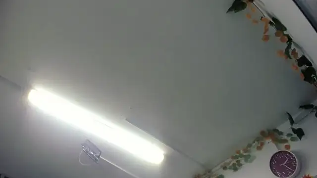 Snapshot of LilaVelvet chatting on 20, 5, 2026 LilaVelvet online show from 20, 5, 2026