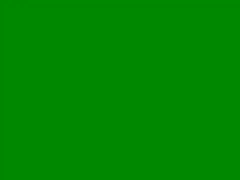 vvvan2026 online show from 3, 5, 2026