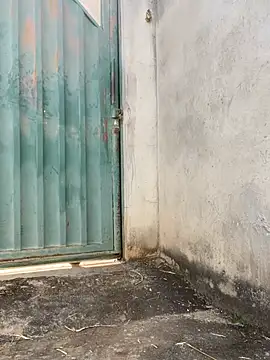 Showspordereais online show from 22, 4, 2026