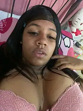 chiki1414 online show from 3, 5, 2026