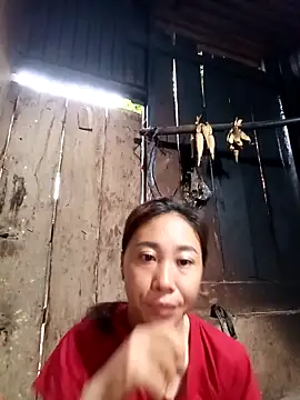 Snapshot of Jinli_01 chatting on 3, 5, 2026 Jinli 01 online show from 3, 5, 2026