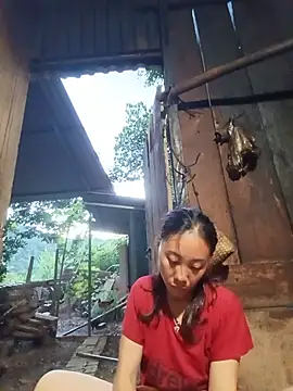 Jinli 01 online show from 24, 7, 2026