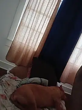 Snapshot of Josephhhhhhhhhuuuuu chatting on 8, 6, 2026 Josephhhhhhhhhuuuuu online show from 8, 6, 2026
