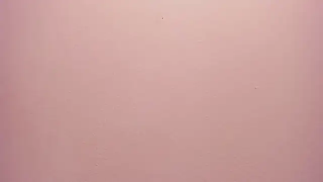 Snapshot of _anais_rose_ chatting on 30, 5, 2026 anais rose online show from 30, 5, 2026