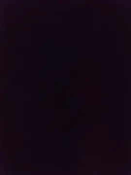 thomsnapchaud online show from 17, 6, 2026