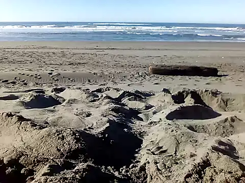 Snapshot of dog-naked chatting on 22, 1, 2025 dog-naked online show from 22, 1, 2025