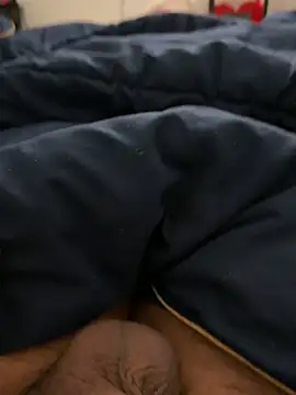 bigcock3113 online show from 14, 6, 2026