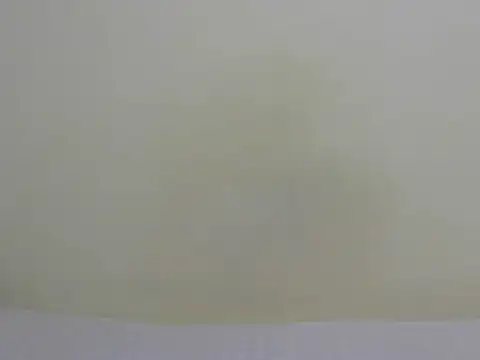 Arriana  online show from 28, 6, 2026