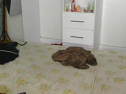 Snapshot of SexyLi_ chatting on 30, 7, 2026 SexyLi online show from 30, 7, 2026