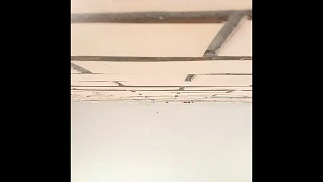 Snapshot of IronicBuckle chatting on 2, 7, 2026 IronicBuckle online show from 2, 7, 2026