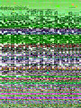 pradoz 20 online show from 26, 6, 2026