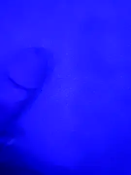 Bite229 online show from 5, 8, 2026