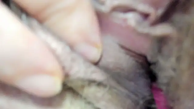 vitabox online show from 21, 9, 2025