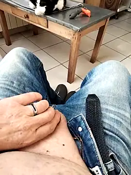 Corref online show from 23, 3, 2026