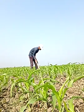 ThethunderPo online show from 6, 2, 2026