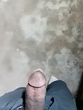 Bengali BULL1 online show from 15, 11, 2025