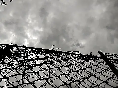 sarpe4 online show from 25, 4, 2026