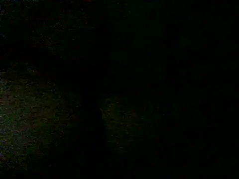 Eze mole online show from 24, 2, 2025