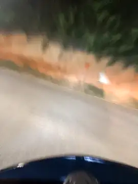 Brenda Berck  online show from 4, 12, 2025