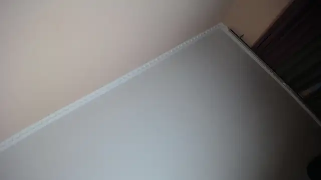 Milka Web online show from 29, 11, 2025