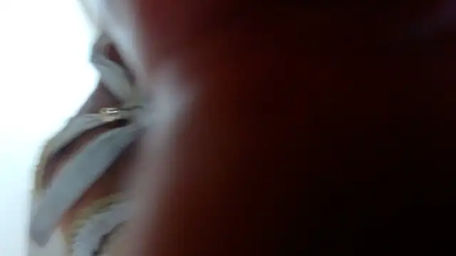 Snapshot of Ixchel_Anaid chatting on 14, 3, 2025 Ixchel Anaid online show from 14, 3, 2025
