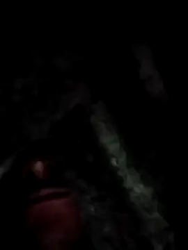 Ygnacio 95 online show from 16, 12, 2024