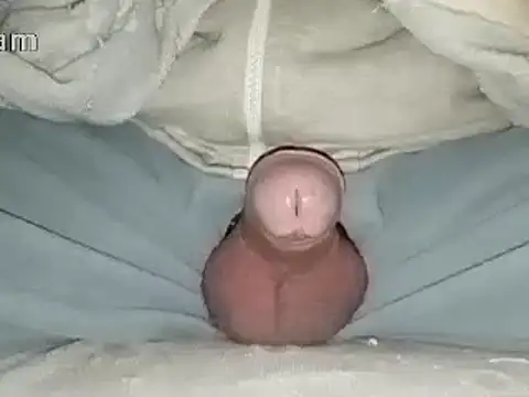 Snapshot of Bigdick666cm chatting on 31, 1, 2025 Bigdick666cm online show from 31, 1, 2025