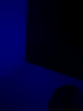 Snapshot of Pavelbure77 chatting on 7, 3, 2026 Pavelbure77 online show from 7, 3, 2026