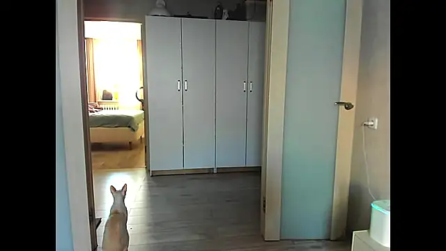 sweeetgirls2021 online show from 12, 12, 2024