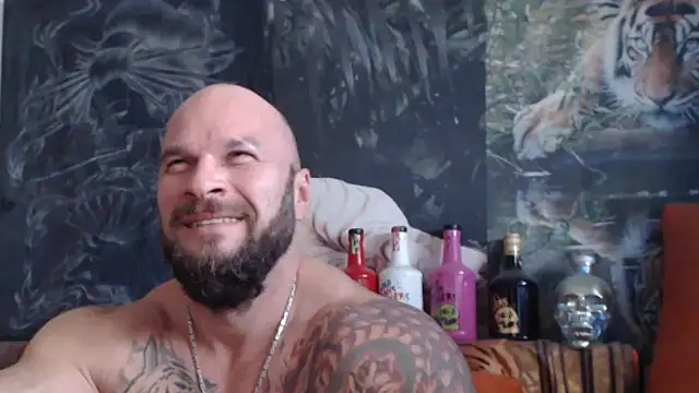 viking 30 online show from 15, 10, 2025