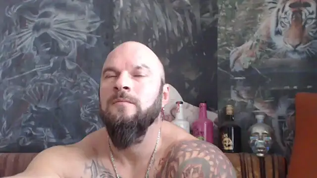 viking 30 online show from 26, 11, 2025