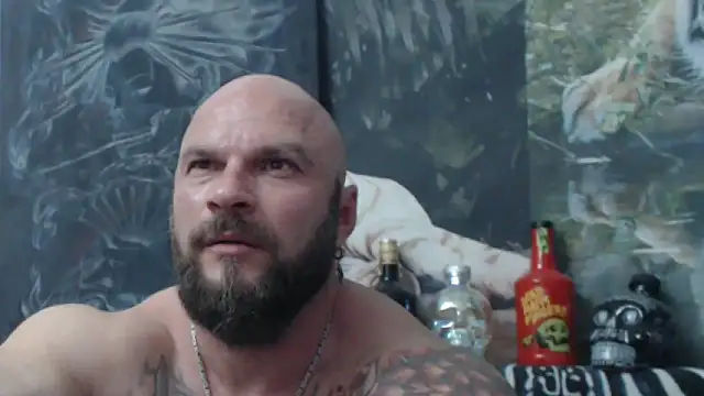 viking 30 online show from 26, 5, 2026