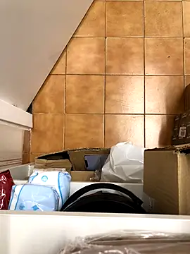 Mindnorthcam2 online show from 17, 11, 2025