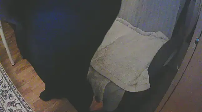 Snapshot of szadamo chatting on 11, 12, 2024 szadamo online show from 11, 12, 2024