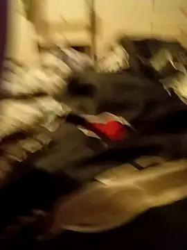 Lm-Schwanz online show from 7, 3, 2026