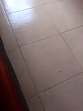 Robhalford33 online show from 6, 1, 2026