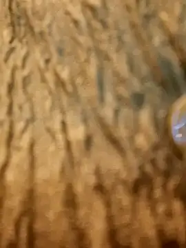 Dirtyfeelin online show from 13, 2, 2025