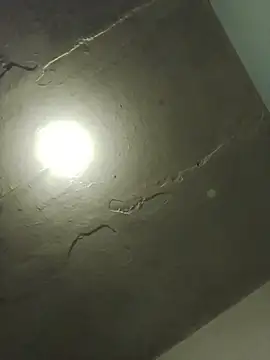 Indianbloom- online show from 6, 4, 2026