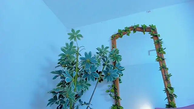 NinaWong online show from 26, 2, 2026