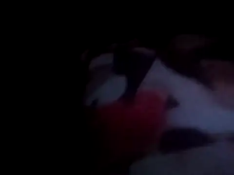 PrinceNoAlbert online show from 15, 12, 2024