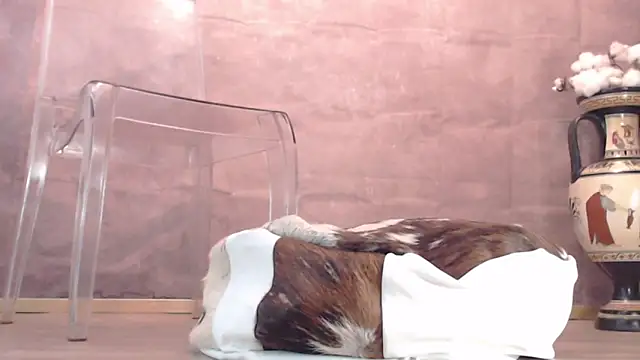 Lady-Nymph online show from 26, 10, 2025