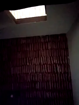 catdool online show from 22, 1, 2025